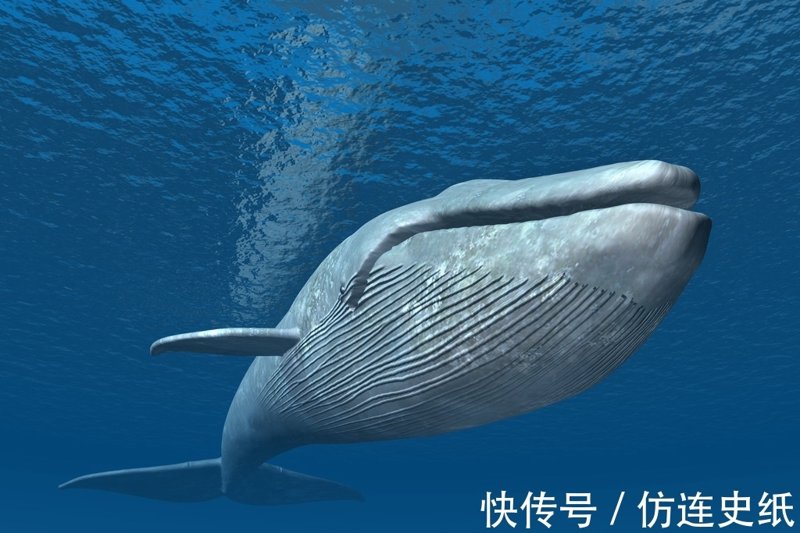 构建高效管理平台：浅谈进销存系统的行业应用
